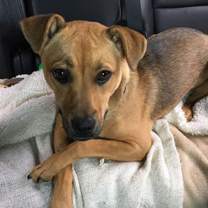 Meet your Posher, Jay